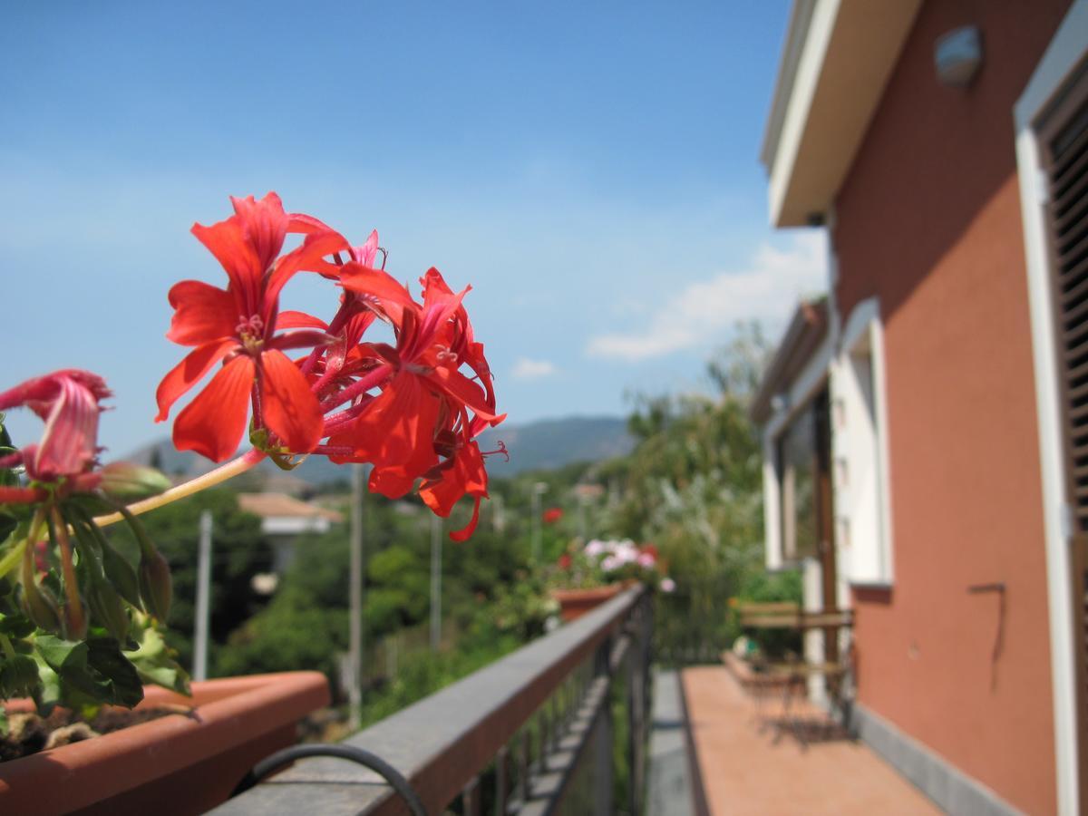Bed and Breakfast Anthea Dell' Etna à Santa Venerina Extérieur photo